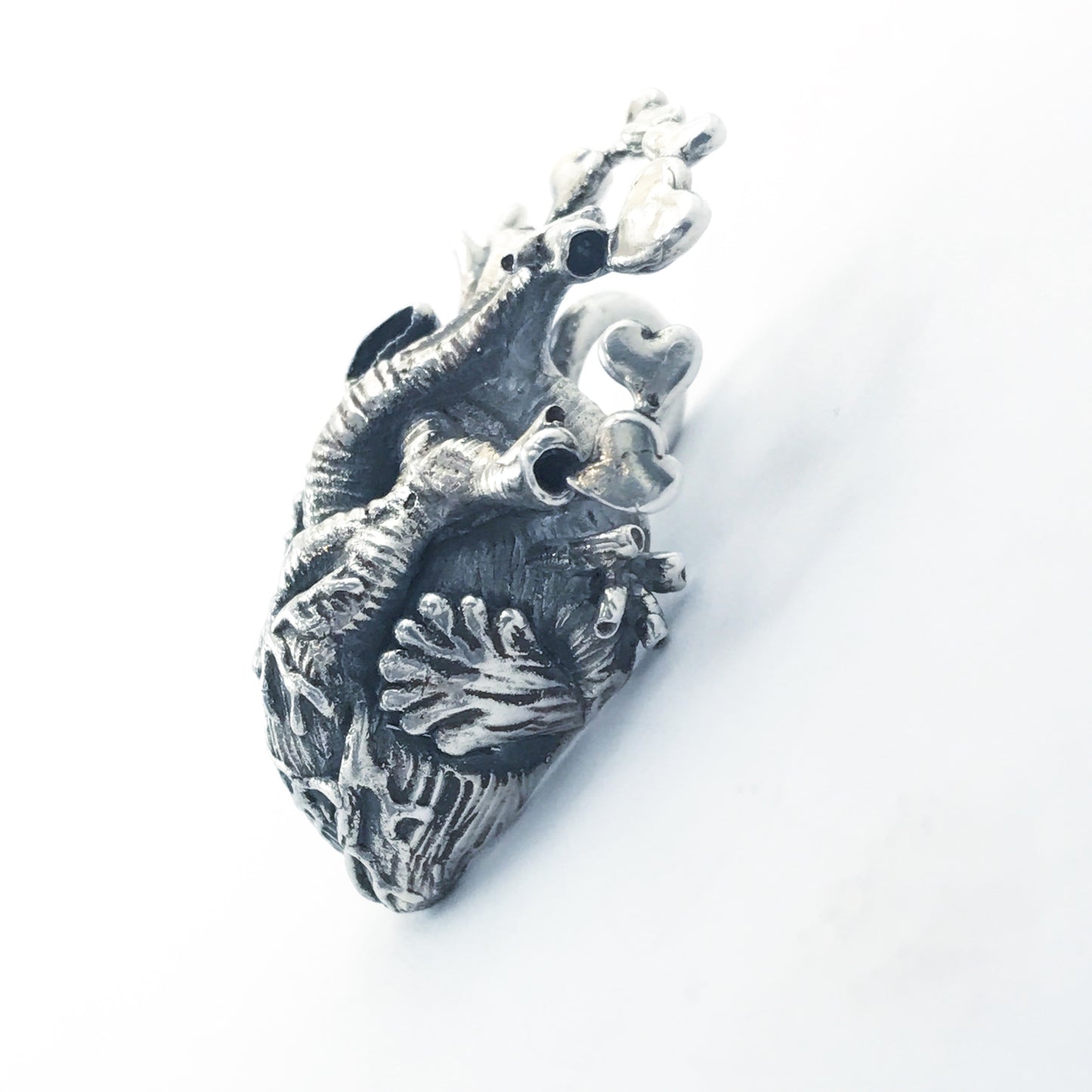 Cuore Anatomico - Realizzato per da Design Week di Venezia "Cuore come simbolo di vita"