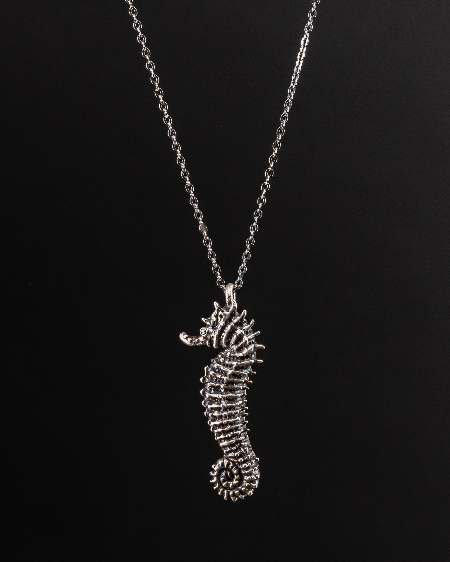 Seahorse