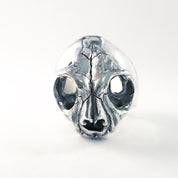 Skull Cat