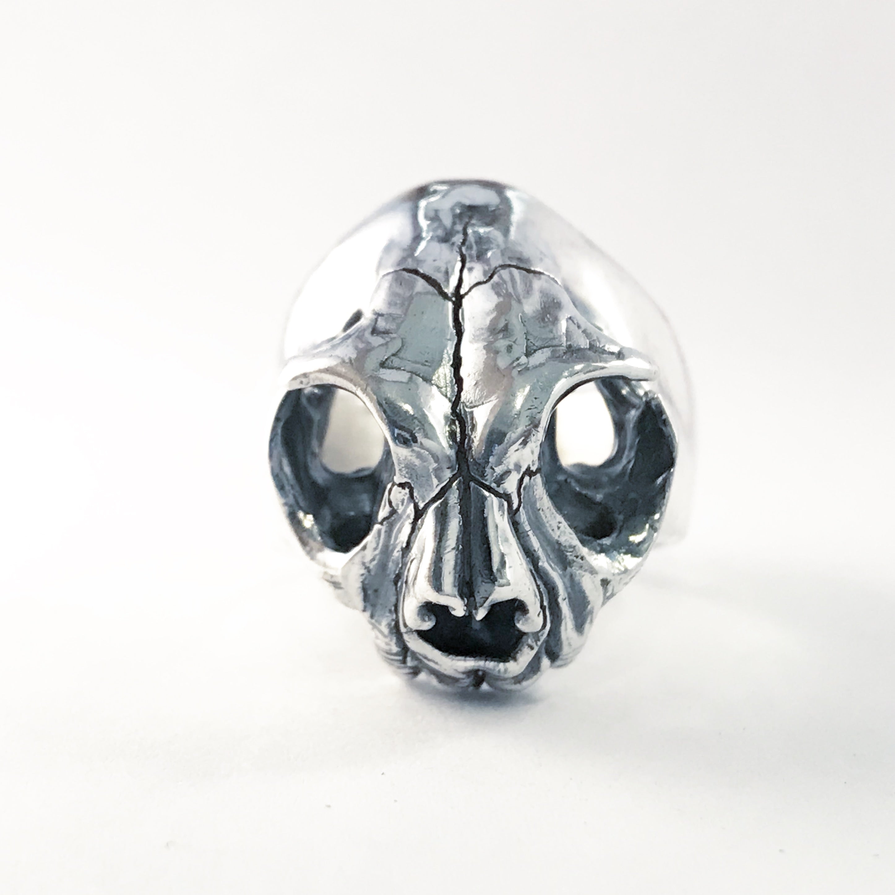 Skull Cat